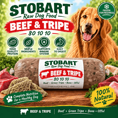 Stobart Beef & Tripe 454g 80 10 10