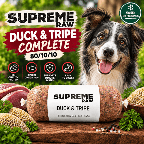 Supreme Raw | Duck & Tripe Complete 80/10/10