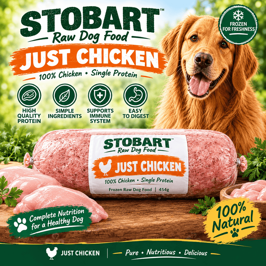 Stobart Just Chicken | Raw Dog Food