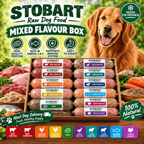 Stobart Variety Box | Mix Flavours
