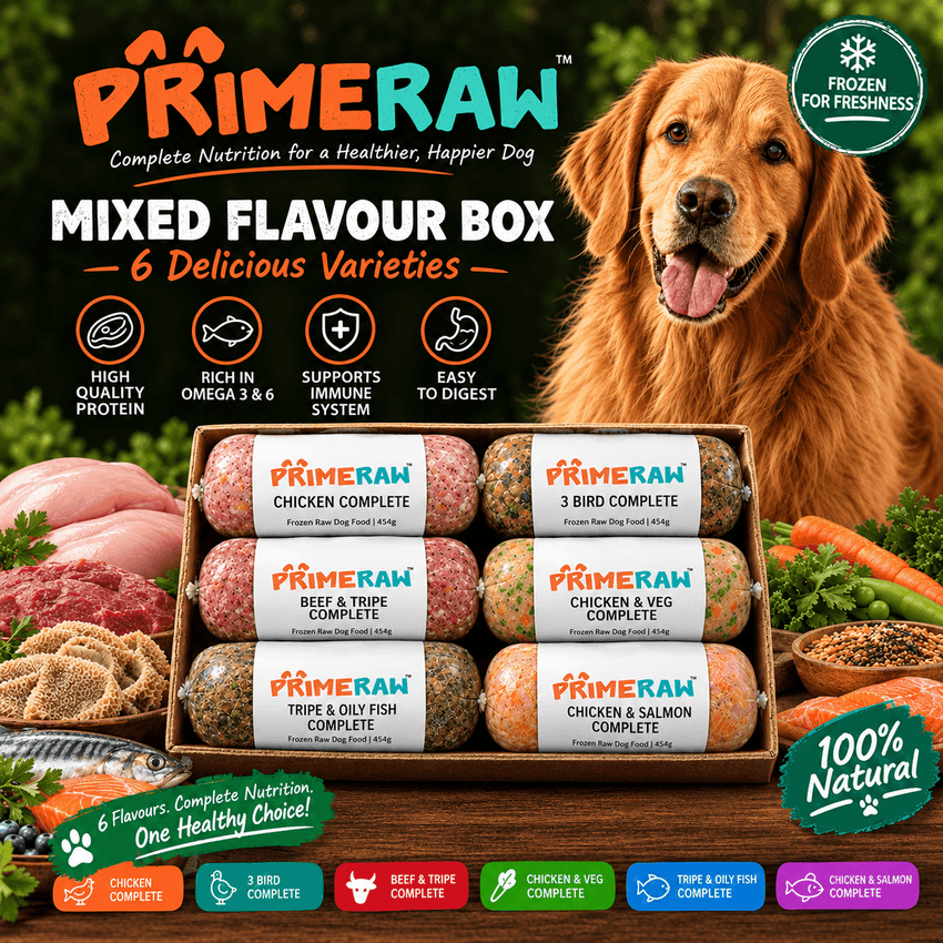 Prime Raw | Mixed Flavour Variety Box