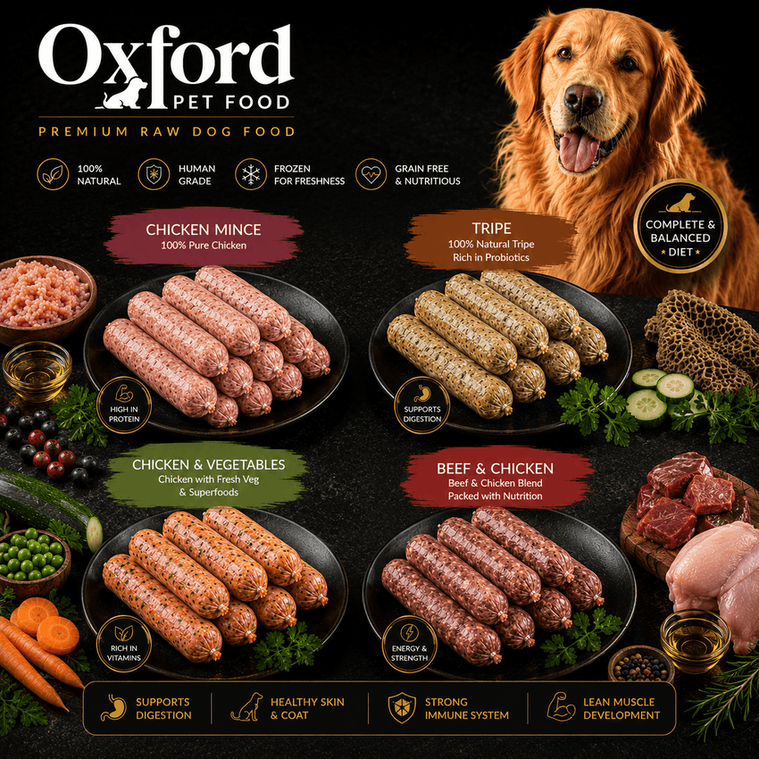 Frozen Dog Food [Variety Pack 12 kg] - Chicken, Chicken & Veg, Tripe, Beef & Chicken