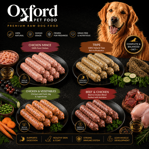 Frozen Dog Food [Variety Pack 12 kg] - Chicken, Chicken & Veg, Tripe, Beef & Chicken