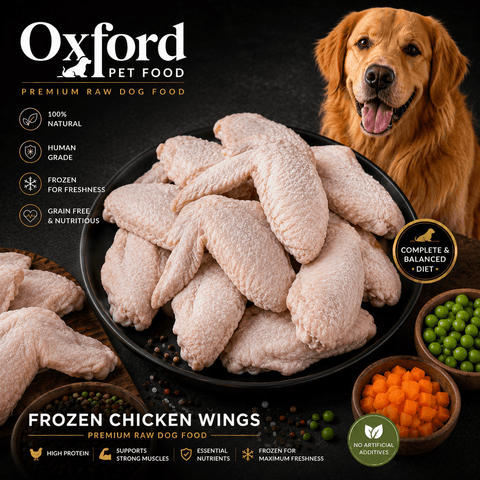 Frozen Raw Chicken Wings For Dogs 15Kg Box (3x5kg)