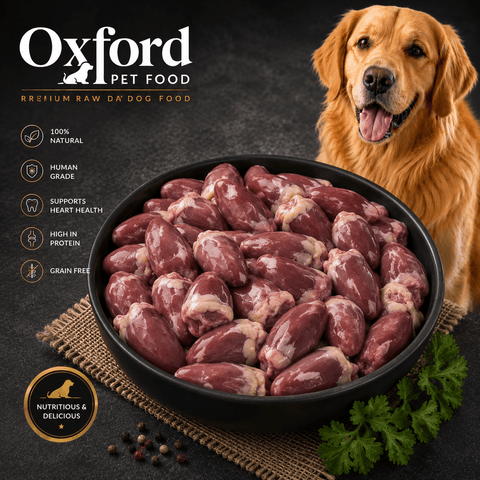 Frozen Chicken Hearts 8 x 500g bags 4 kg box