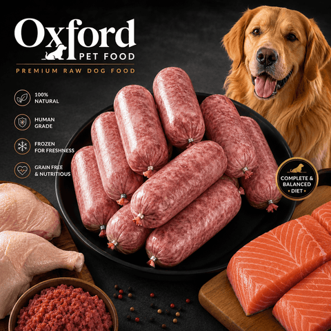 Frozen Dog Food Chicken & Salmon Mince 10Kg/20Kg Box